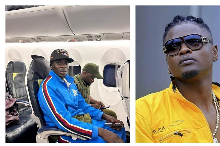 Alien Skin and Pallaso