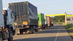 The heavy traffic in the national park has since sparked ecological concerns