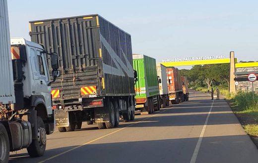 The heavy traffic in the national park has since sparked ecological concerns