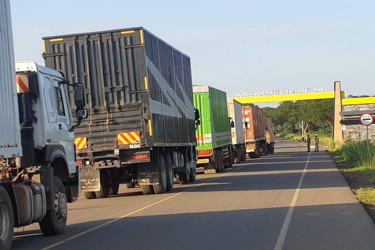 The heavy traffic in the national park has since sparked ecological concerns