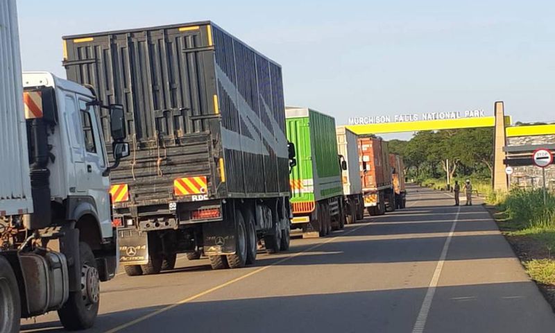 The heavy traffic in the national park has since sparked ecological concerns