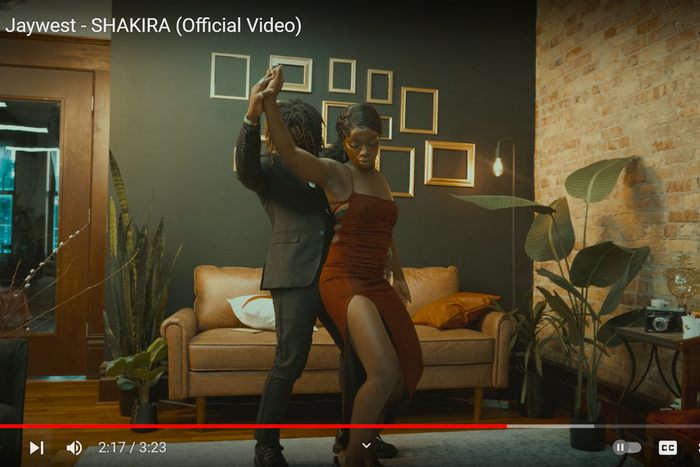 Screenshot from the video