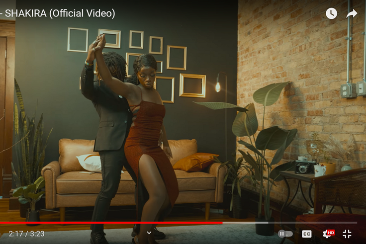 Screenshot from the video