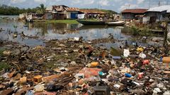 Environmental degradation