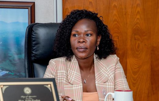 State Minister for Investment and Privatisation Hon Evelyn Anite
