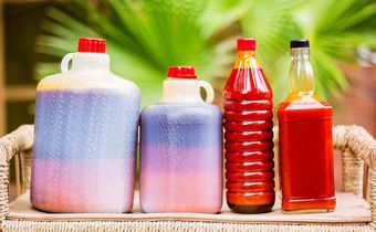 Top producers of palm oil in the world [Google Images]