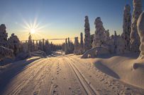 The sun doesn't set in these 5 travel destinations/Finland/Pexels