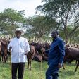 President William Ruto, Uganda's President Yoweri Museveni, and former Prime Minister Raila Odinga meet in Uganda