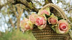 100+ meaningful thank-you messages, replies and words of gratitude/Pexels