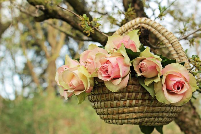 100+ meaningful thank-you messages, replies and words of gratitude/Pexels