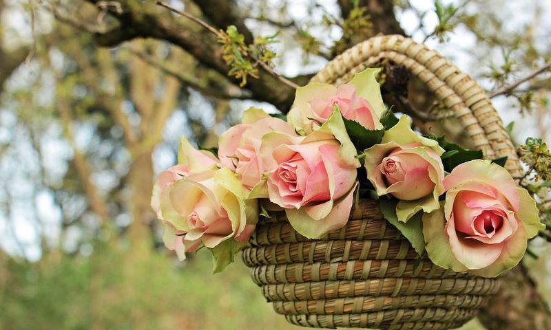 100+ meaningful thank-you messages, replies and words of gratitude/Pexels