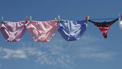 How do you dry your panties? [The Guardian]
