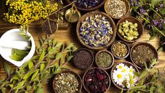 Herbs to heal different organs in your body [Organic Products India]