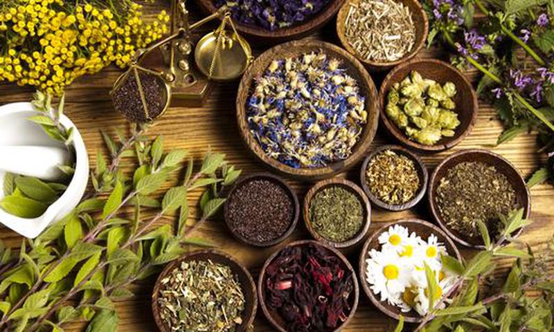 Herbs to heal different organs in your body [Organic Products India]