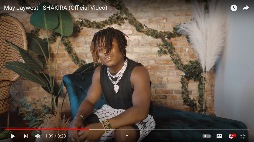 Screenshot from the video