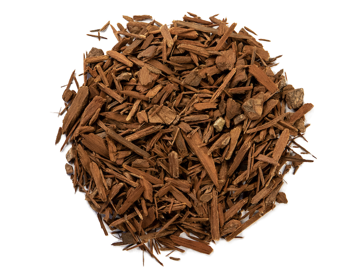 Yohimbe [HolisticLiving]