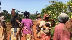 International Labour Day May 1, 2023/Courtesy/volunteertherealuganda