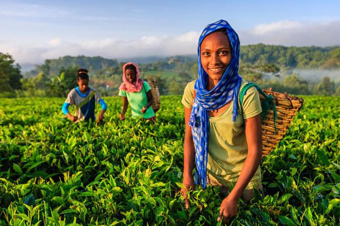 African Nations to dominate world’s top 10 highest-growing economies [World Finance]