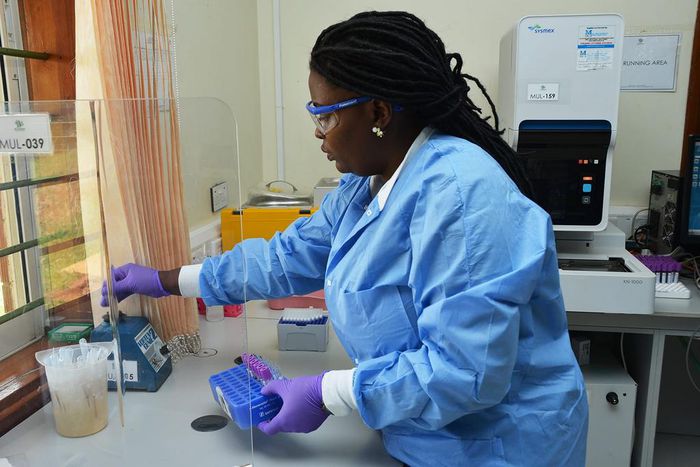 Health experts warn against 'business-oriented' school medical examinations