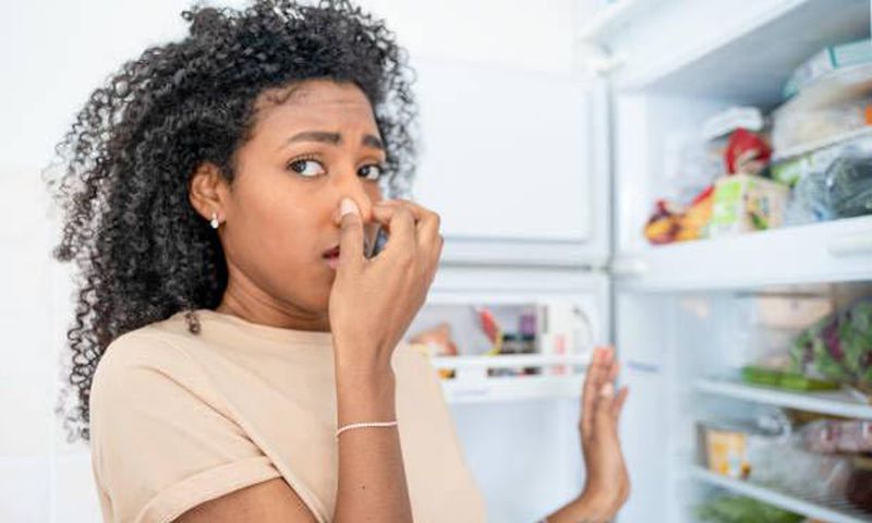 It is easier to resolve a smelly refrigerator if you know what causes it [iStock]
