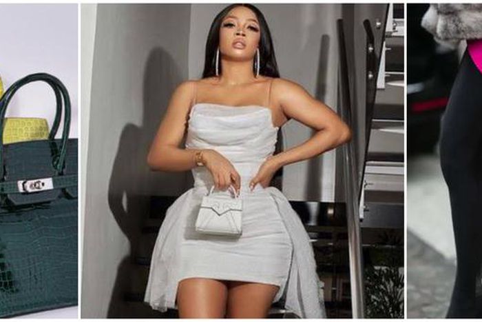 Birkin Bag- Business Day- Tori News