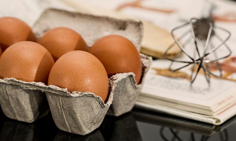 Bunyoro eggs suppliers increase prices for oil companies /Pixabay