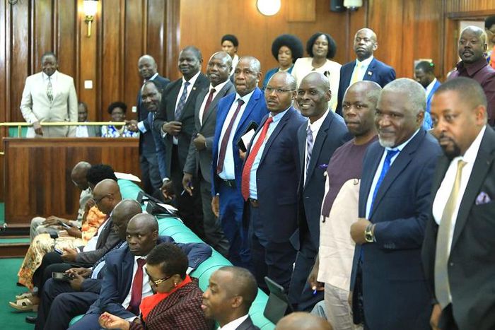 Members rise to catch the eye of the Speaker during plenary on Friday, April 12