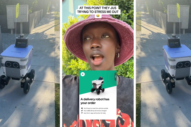 'Can't happen in Africa' robot delivers food order to surprised customer/TikTok