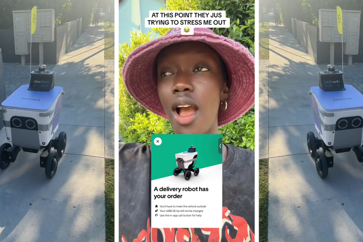 'Can't happen in Africa' robot delivers food order to surprised customer/TikTok