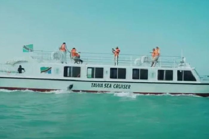 The Tawa Sea Cruiser