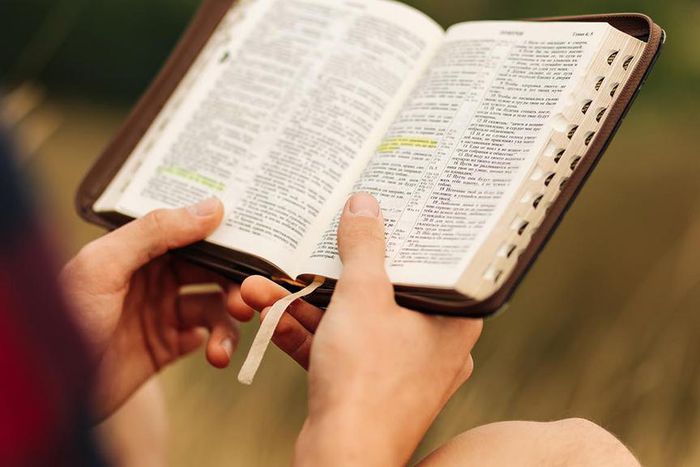 These are short Bible verses you can easily remember [PerryHighwayLuther]