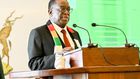 Zimbabwe President Emmerson Mnangagwa speaks at ADPA meeting Source – Facebook