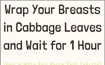 Why women put cabbage leaves on their breasts/Courtesy