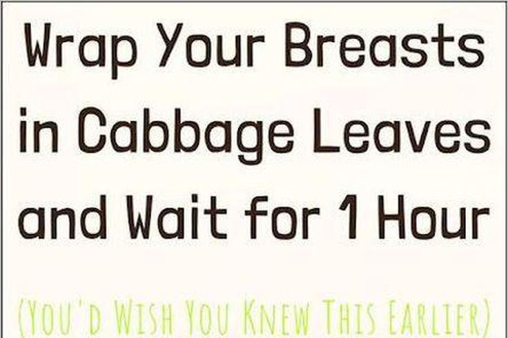 Why women put cabbage leaves on their breasts/Courtesy
