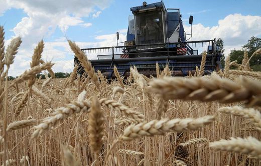 Grains from Ukraine