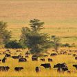 Kidepo valley national park