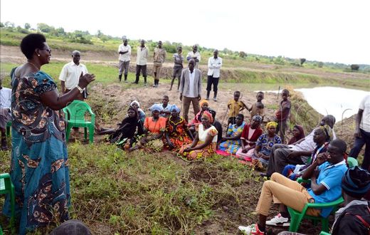 Shs2 billion government fishing project goes to waste in Serere district/Courtesy