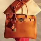 The Birkin bag