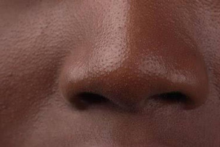 Nose [Shutterstock]
