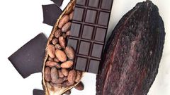 Ivory coast is the world's leading producer of cocoa [Alphafoodie]