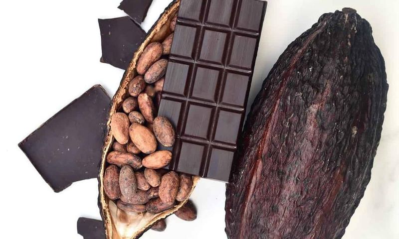 Ivory coast is the world's leading producer of cocoa [Alphafoodie]