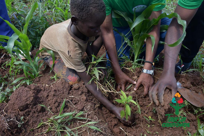 A child is seen planting a tree during the 2023 International Biodiversity Day where NBS TV and partners planted over 1000 trees