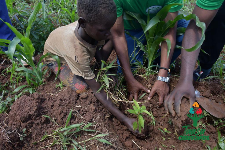A child is seen planting a tree during the 2023 International Biodiversity Day where NBS TV and partners planted over 1000 trees