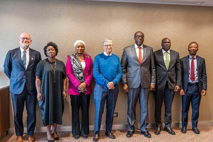 See the project Nigeria’s acting CBN governor is executing in partnership with Bill Gates