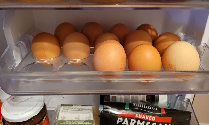 For many of us, the refrigerator is the go-to storage spot