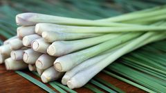 Lemongrass