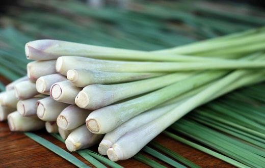 Lemongrass