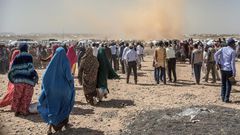 The have been  over 33,000 new arrivals from Sudan since the start of 2024
