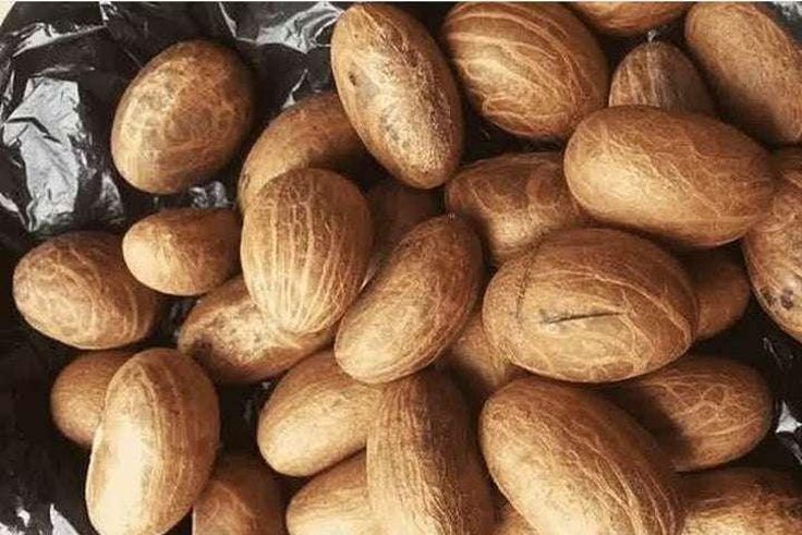 The benefits of bitter kola [StemartMarketplace]