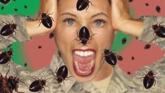 Is your home bugs infested [BodyDesignsbyMary]